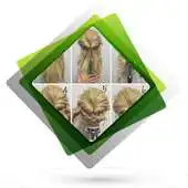 Free play online Beautiful Hairstyles Tutorials  Ideas APK