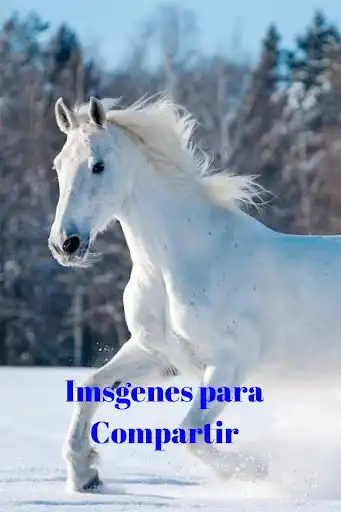 Play Beautiful images as an online game Beautiful images with UptoPlay