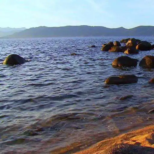 Free play online Beautiful July morning APK