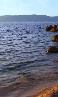 Play Beautiful July morning