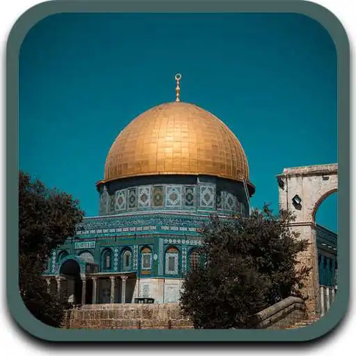 Play Beautiful Mosque Wallpaper HD APK Play Beautiful Mosque Wallpaper HD APK