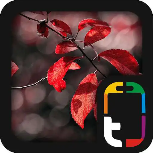 Free play online Beautiful Nature Theme  APK
