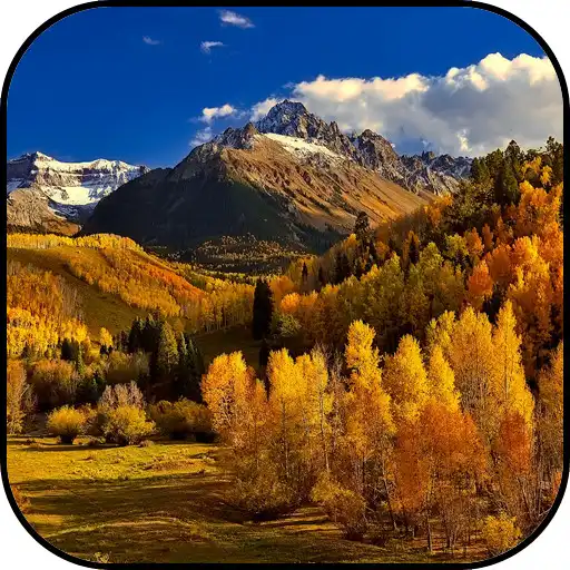 Play Beautiful Nature Wallpapers APK Play Beautiful Nature Wallpapers APK