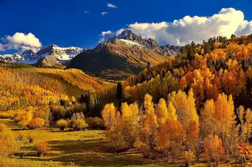 Play Beautiful Nature Wallpapers  and enjoy Beautiful Nature Wallpapers with UptoPlay