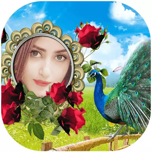 Play Beautiful Peacock Photo Frames APK Play Beautiful Peacock Photo Frames APK