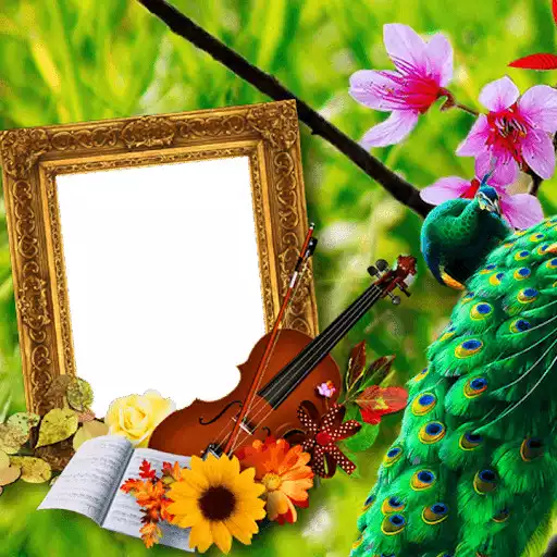 Play Beautiful Peacock Photo Frames  and enjoy Beautiful Peacock Photo Frames with UptoPlay