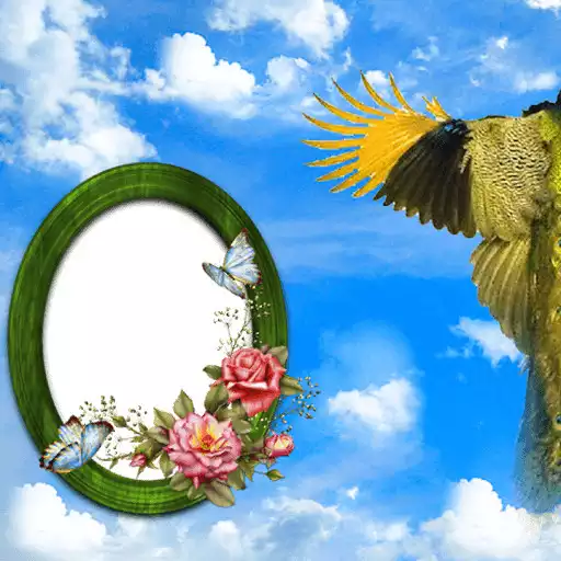 Play Beautiful Peacock Photo Frames as an online game Beautiful Peacock Photo Frames with UptoPlay