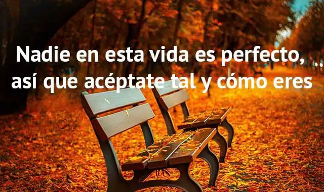 Play beautiful phrases of life and enjoy beautiful phrases of life with UptoPlay Play beautiful phrases of life and enjoy beautiful phrases of life with UptoPlay