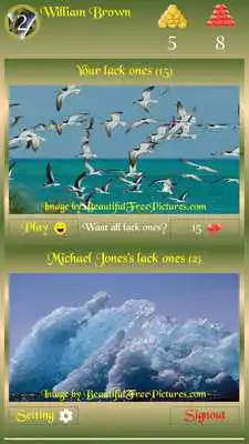 Play Beautiful Picture Puzzle Free