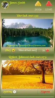 Play Beautiful Picture Puzzle Free