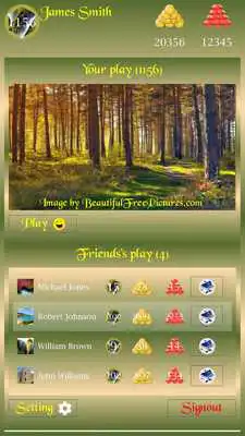 Play Beautiful Picture Puzzle Free