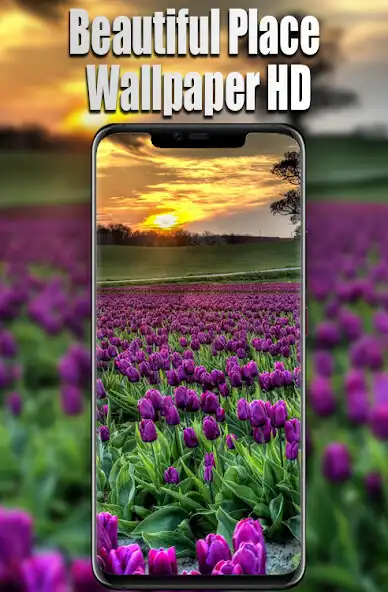 Play Beautiful Place Wallpapers HD as an online game online Beautiful Place Wallpapers HD with UptoPlay Play Beautiful Place Wallpapers HD as an online game Beautiful Place Wallpapers HD with UptoPlay