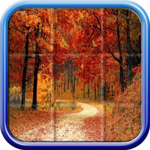 Free play online Beautiful Puzzles APK