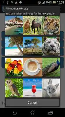 Play Beautiful Puzzles Play Beautiful Puzzles