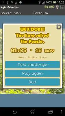 Play Beautiful Puzzles Play Beautiful Puzzles