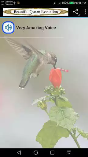 Play Beautiful Quran Recitation 1  and enjoy Beautiful Quran Recitation 1 with UptoPlay