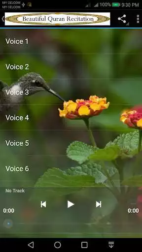 Play Beautiful Quran Recitation 1 as an online game Beautiful Quran Recitation 1 with UptoPlay
