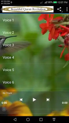 Play Beautiful Quran Recitation 2 as an online game Beautiful Quran Recitation 2 with UptoPlay