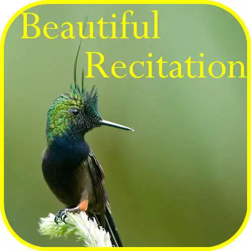 Play Beautiful Recitation APK