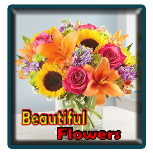 Play Beautiful Red Flowers 4K APK Play Beautiful Red Flowers 4K APK