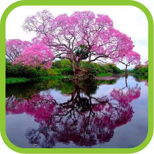 Free play online Beautiful River Pics APK