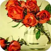 Free play online Beautiful rose flower APK Free play online Beautiful rose flower APK
