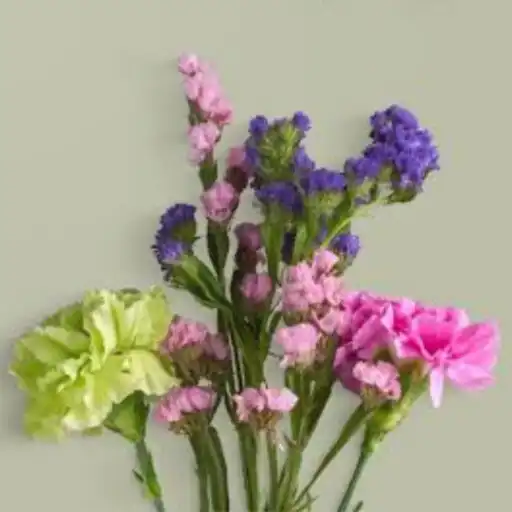 Play Beautiful Spring HD Wallpaper APK