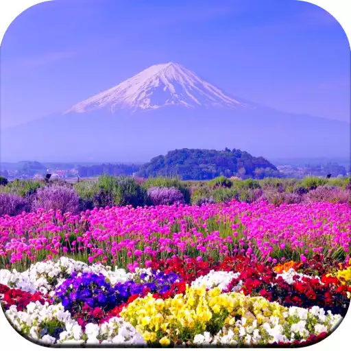 Play Beautiful Spring Wallpaper 4K APK Play Beautiful Spring Wallpaper 4K APK