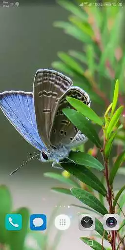 Play Beautiful Summer HD Wallpapers  and enjoy Beautiful Summer HD Wallpapers with UptoPlay