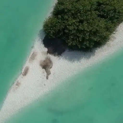 Play Beautiful Summer Wallpaper Pro APK Play Beautiful Summer Wallpaper Pro APK