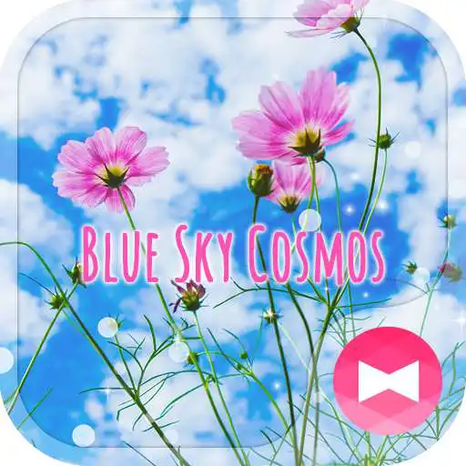 Free play online Beautiful Wallpaper Blue Sky Cosmos Theme APK