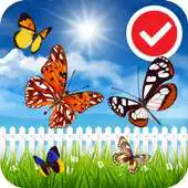 Free play online Beauty Butterfly Scenery LWP APK Free play online Beauty Butterfly Scenery LWP APK