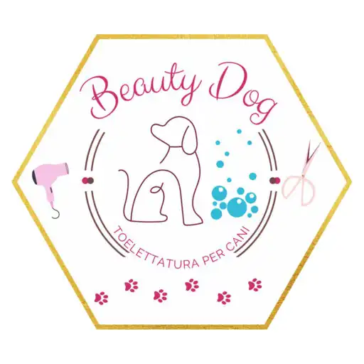 Play Beauty Dog APK Play Beauty Dog APK
