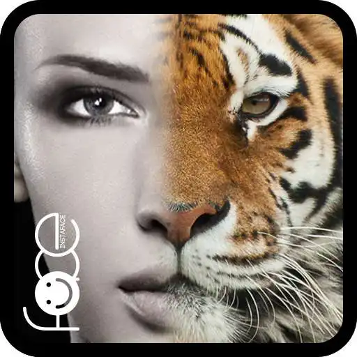 Play Beauty Face Plus : face morph APK Play Beauty Face Plus : face morph APK