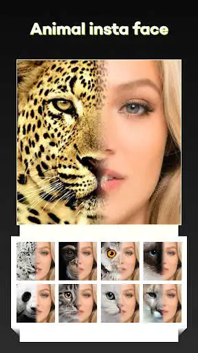 Play Beauty Face Plus :  face morph  and enjoy Beauty Face Plus :  face morph with UptoPlay