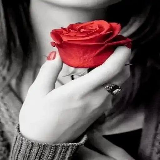 Play Beauty Flowers 2021 APK Play Beauty Flowers 2021 APK