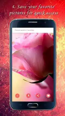 Play Beauty: Flowers