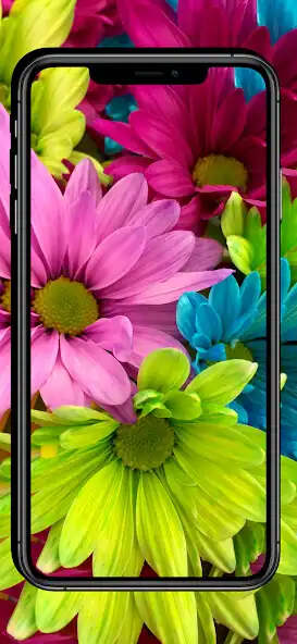 Play Beauty Flowers Wallpapers - HD  and enjoy Beauty Flowers Wallpapers - HD with UptoPlay