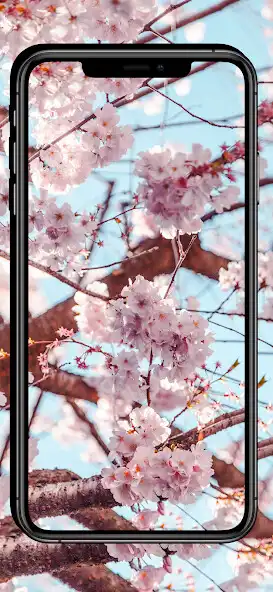 Play Beauty Flowers Wallpapers - HD as an online game Beauty Flowers Wallpapers - HD with UptoPlay