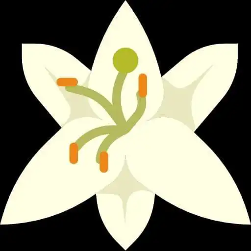 Play Beauty of Lilies Flower APK