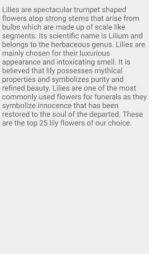 Play Beauty of Lilies Flower as an online game Beauty of Lilies Flower with UptoPlay