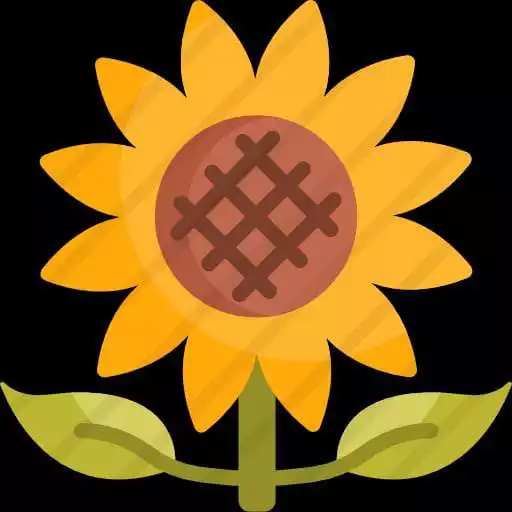 Play Beauty of Sunflower APK Play Beauty of Sunflower APK