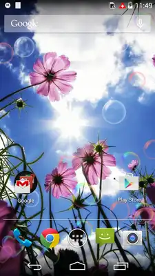 Play Beauty Purple Love Flower LWP