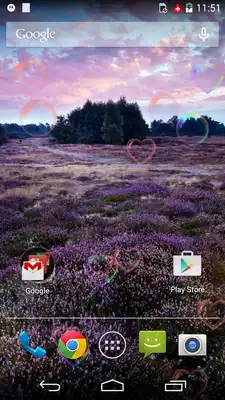 Play Beauty Purple Love Flower LWP