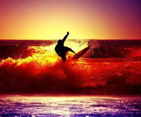 Play Beauty Surfing