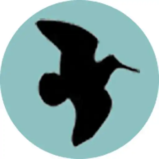 Play Becarchive APK Play Becarchive APK