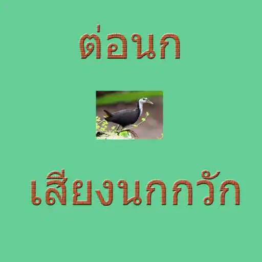 Play Beck bird birds APK Play Beck bird birds APK