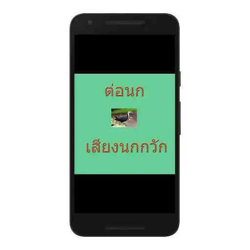 Play Beck bird birds  and enjoy Beck bird birds with UptoPlay