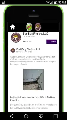Play Bed Bug Finders