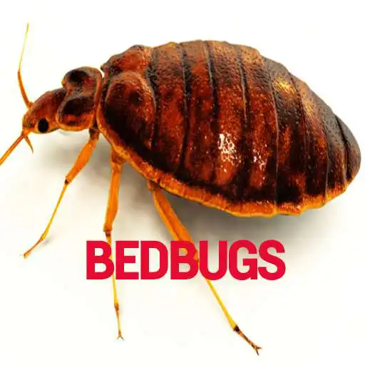 Run free android online Bedbugs Disease APK